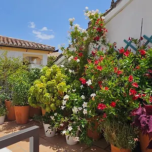 Descalzos Angel With Private Terrace Free Parking Apartment